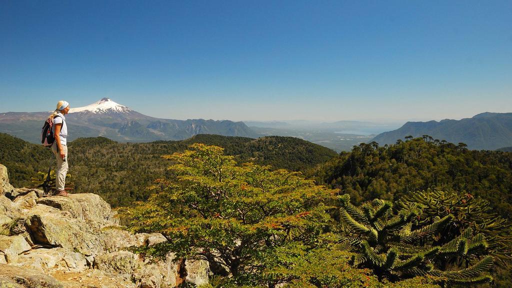 Casa De Campo Buenavista Pucón Oda fotoğraf