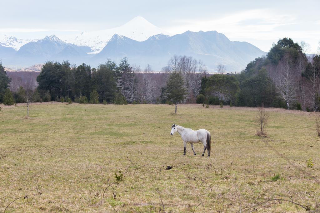 Casa De Campo Buenavista Pucón Dış mekan fotoğraf