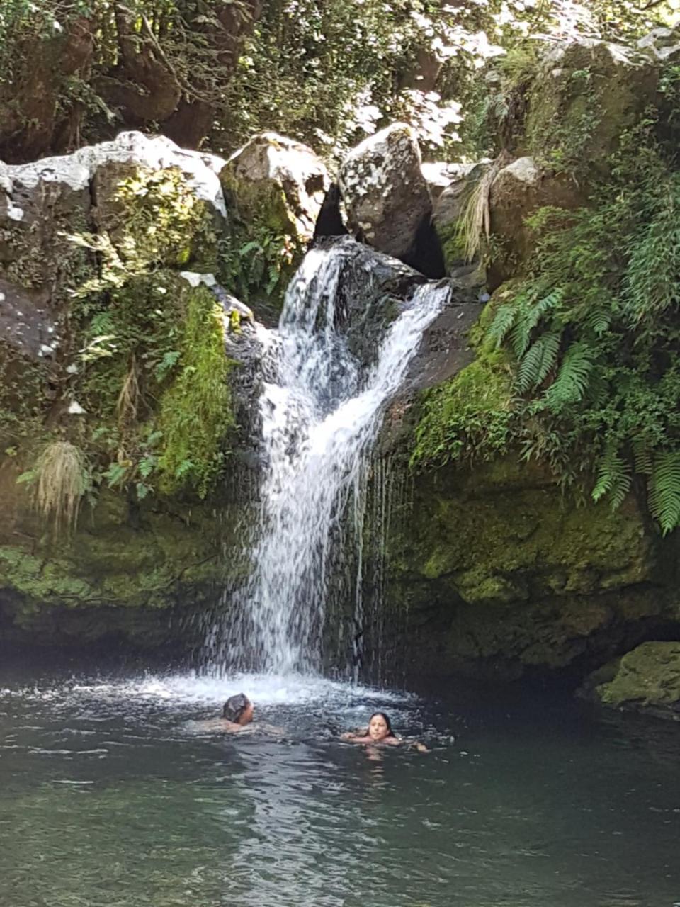 Casa De Campo Buenavista Pucón Dış mekan fotoğraf