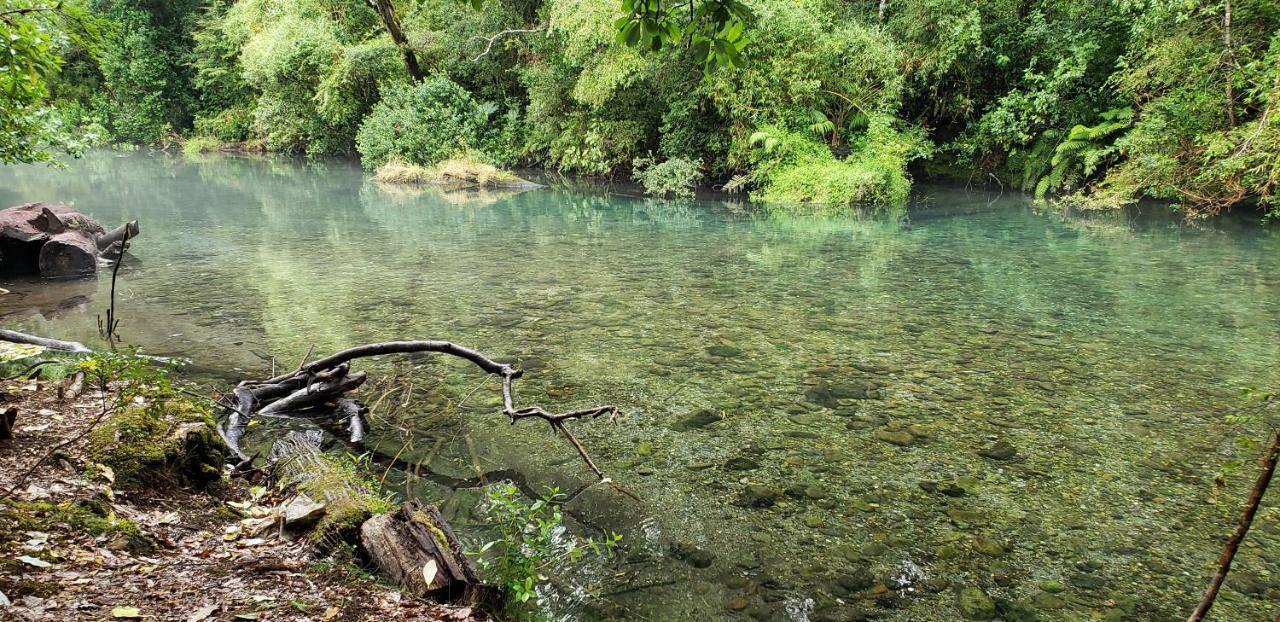 Casa De Campo Buenavista Pucón Dış mekan fotoğraf
