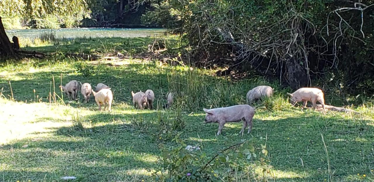 Casa De Campo Buenavista Pucón Dış mekan fotoğraf